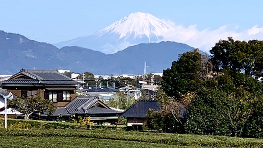 郷土の生地を使うことで繋がる | MASION de C'est pas Grave
