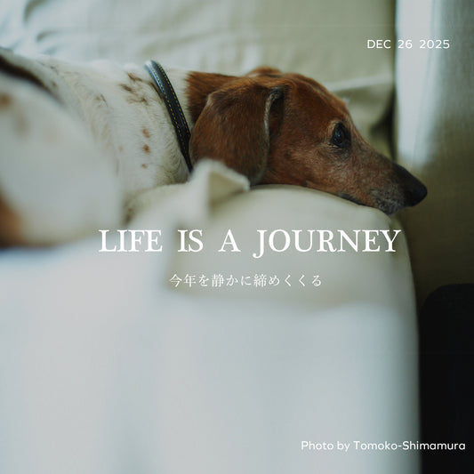 2025 今年を振り返って