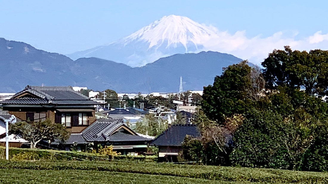 郷土の生地を使うことで繋がる | MASION  de C'est pas Grave